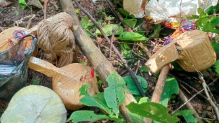 Mp News:बालाघाट के चौरिया चिलौरा जंगल से मिले विस्फोटक, नक्सलियों ने पुलिस पर हमला करने छिपा रखे थे – Explosives Found In Chauriya Chilaura Forest Of Balaghat, Naxalites Had Hidden Them To Attack The Police.